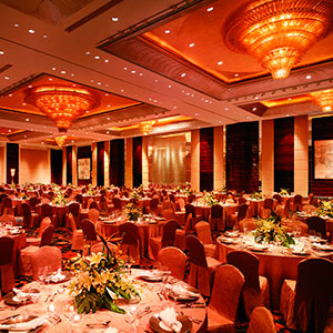 Ballroom stage lighting system integrated solutions